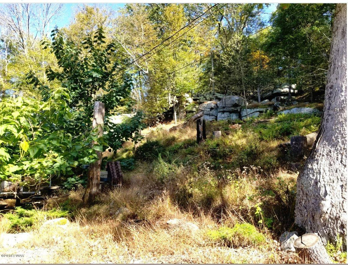 122 Shiny Mountain Road Greentown, PA 18426 - Photo 4 of 4