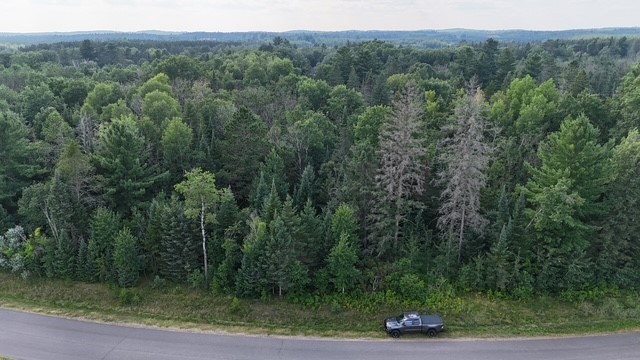 0 North Airport Road Hayward, WI 54843 - Photo 10 of 22