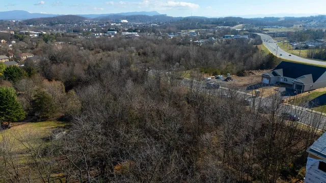 a view of a city with mountain