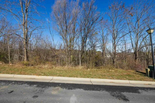 a view of backyard with green space