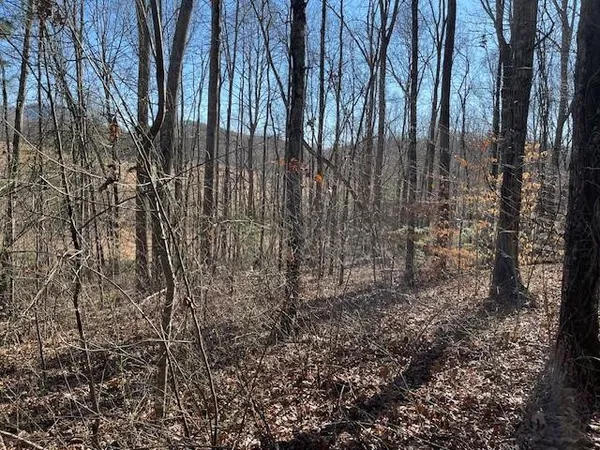 $5,000 | Lot 2 East The Woodlands, Hayesville, NC 28904