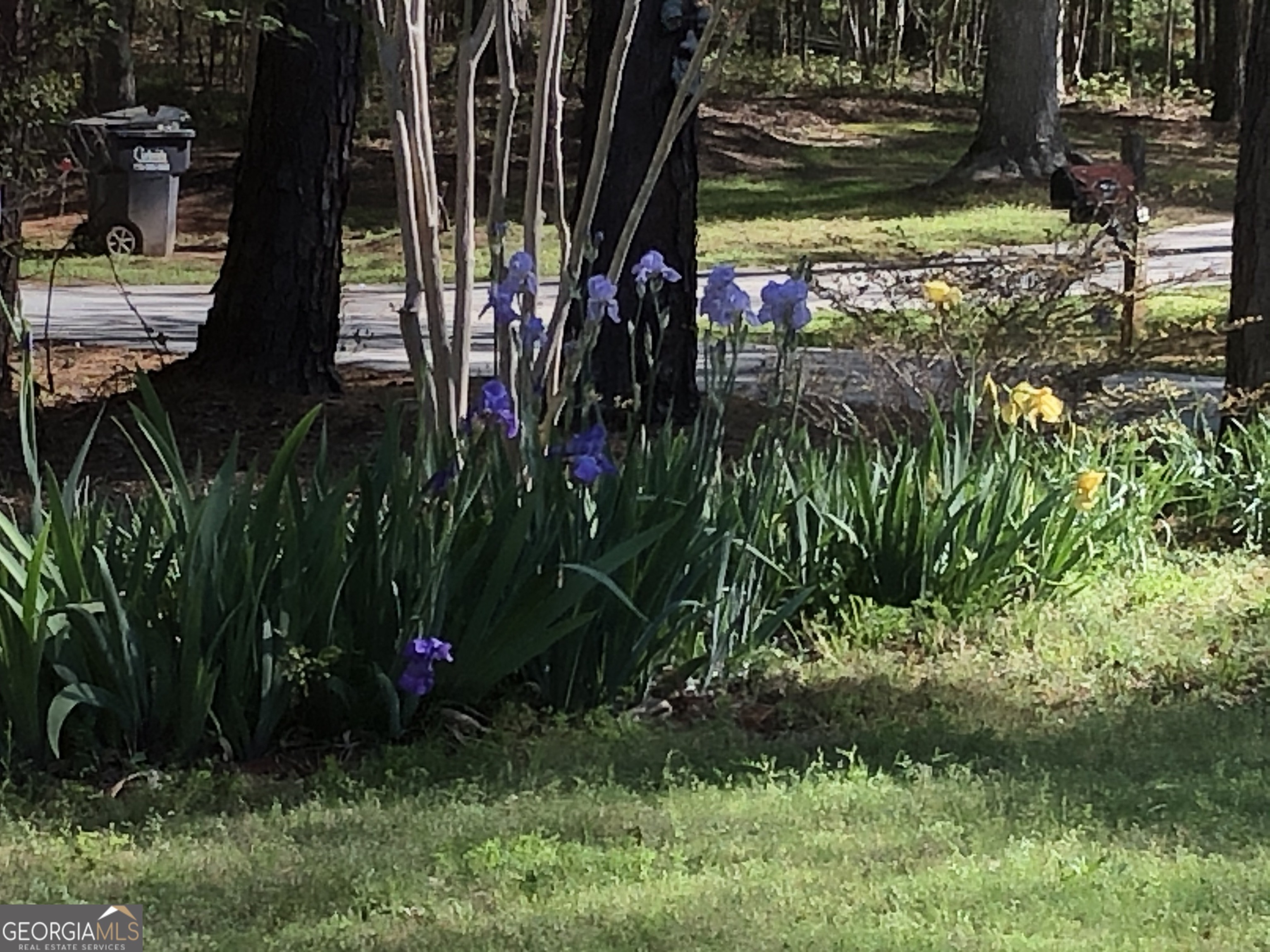 1744 Campbell Road Covington, GA 30014 - Photo 25 of 29 a view of outdoor space