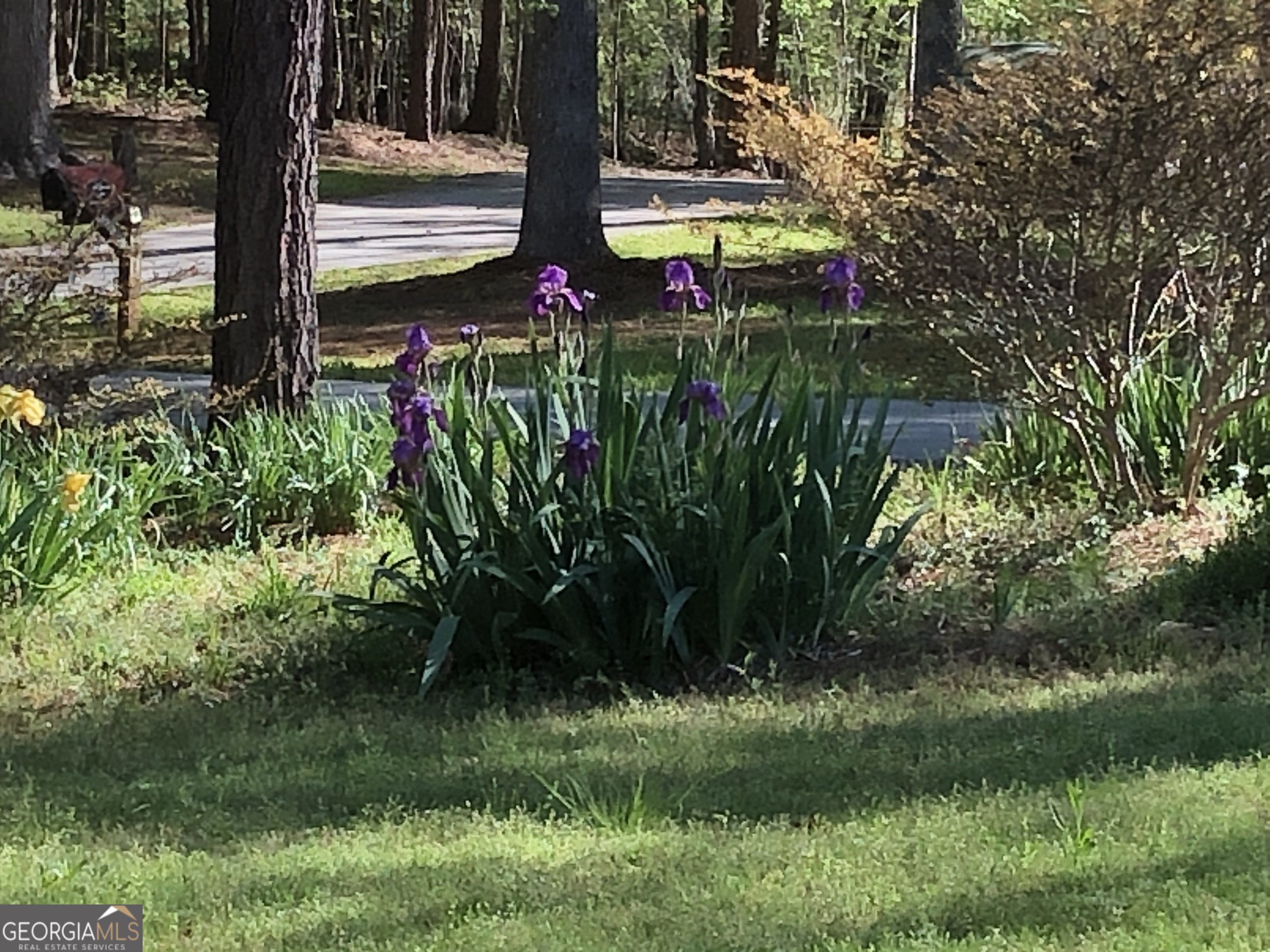 1744 Campbell Road Covington, GA 30014 - Photo 26 of 29 a view of outdoor space and yard