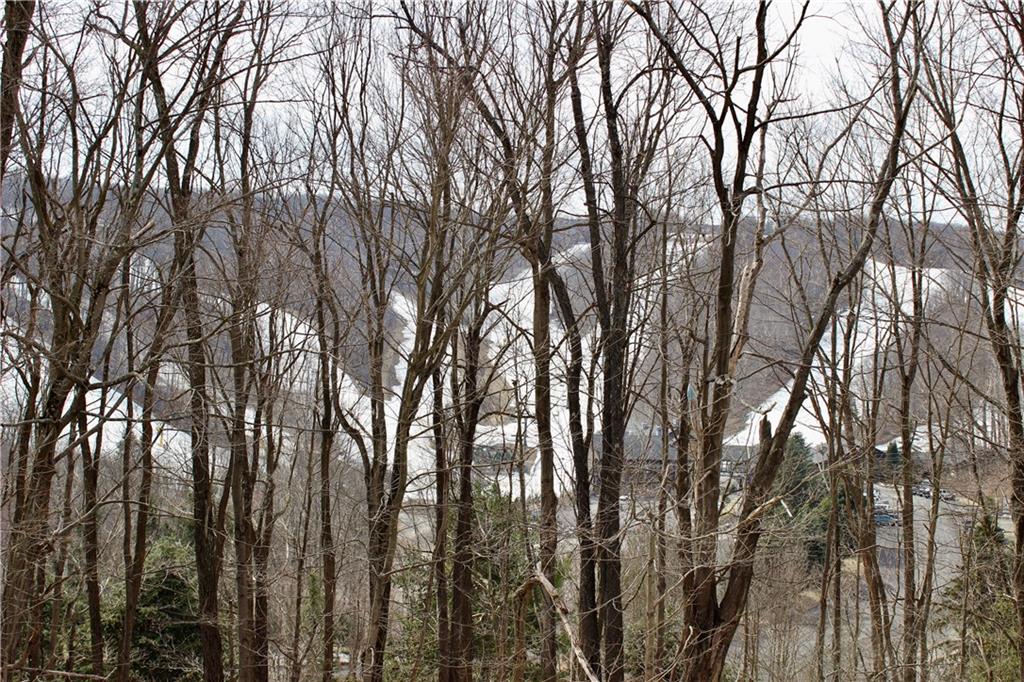 56 Valley View Road Hidden Valley, PA 15502 - Photo 10 of 10 Gallery Image 10