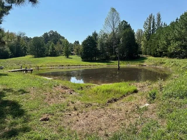 a view of a park with large trees