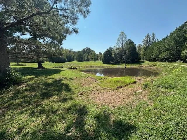 a car parked in the grass near a house