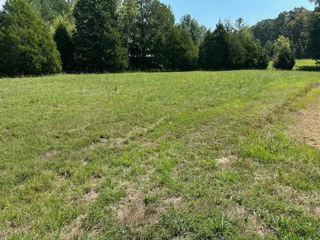 a view of a lake with a big yard and a large trees