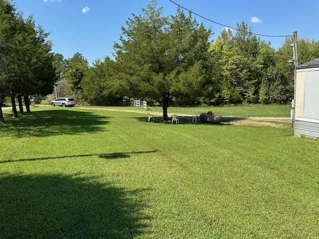 a view of a park with trees and grass