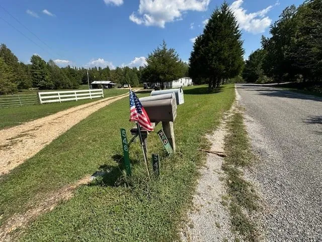 a view of a park with trees and a lake