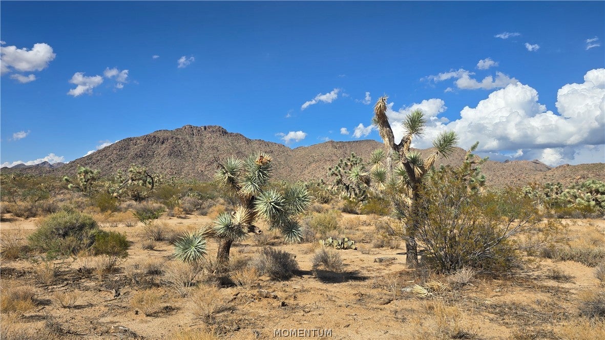208-27-196d South Kinard Road Yucca, AZ 86438 - Photo 21 of 29 Gallery Image 21