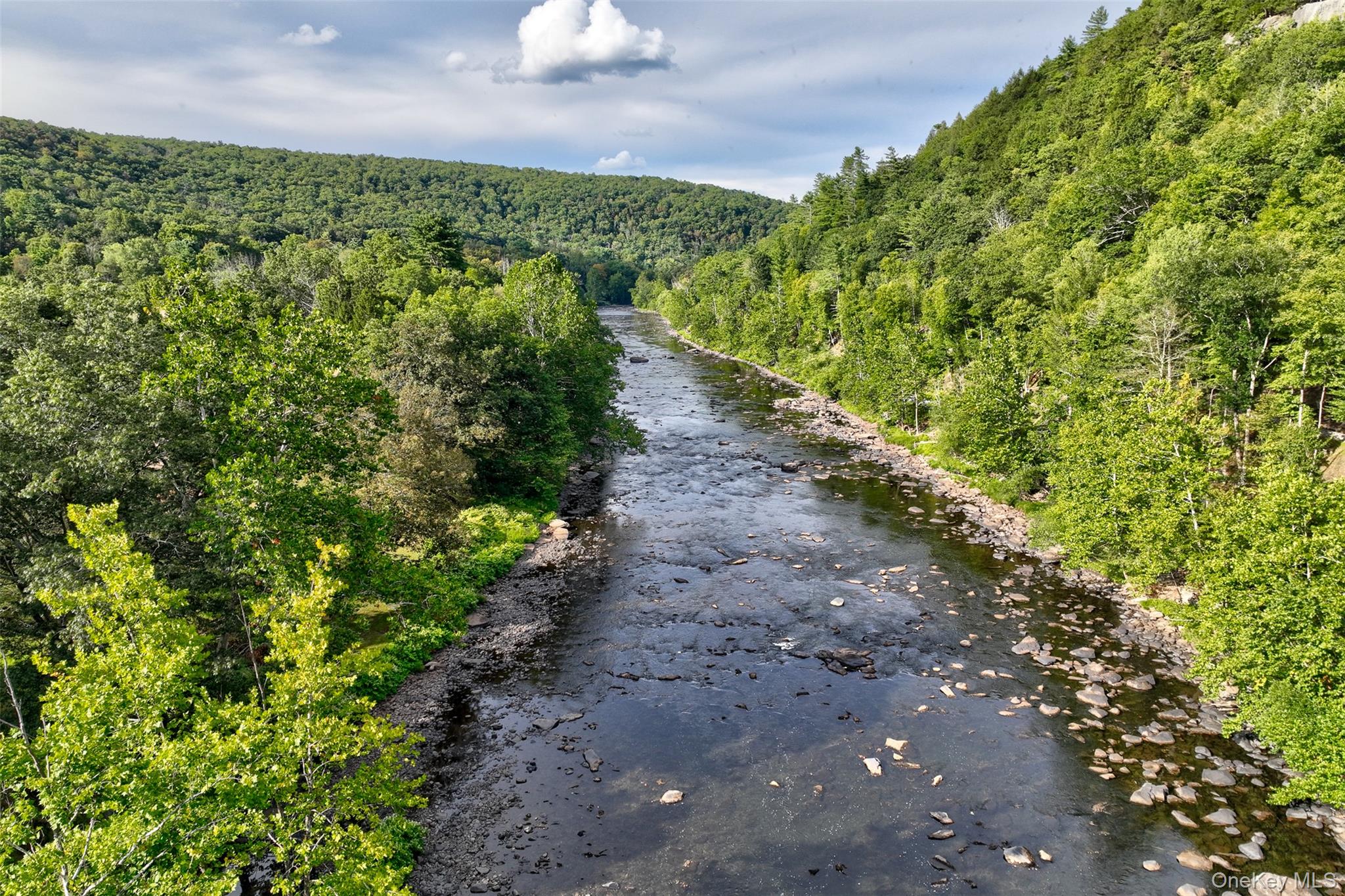 182 Lcpl Jacob Beisel Road Lackawaxen, PA 18435 - Photo 35 of 35 Water view with a forest