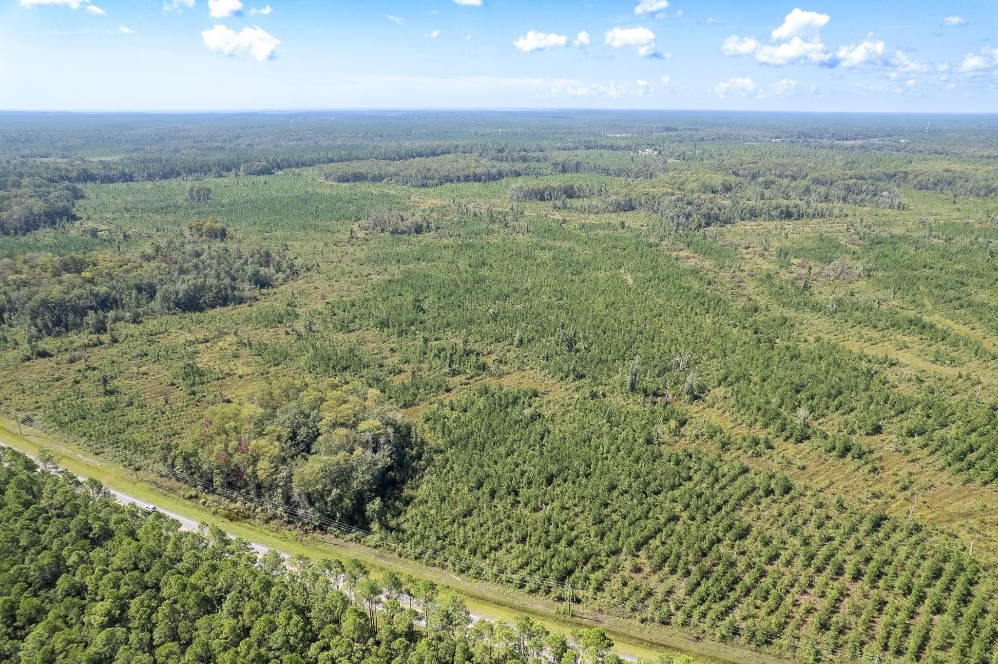 Lot 14 Growing Timbers Road Crawfordville, FL 32327 - Photo 2 of 4