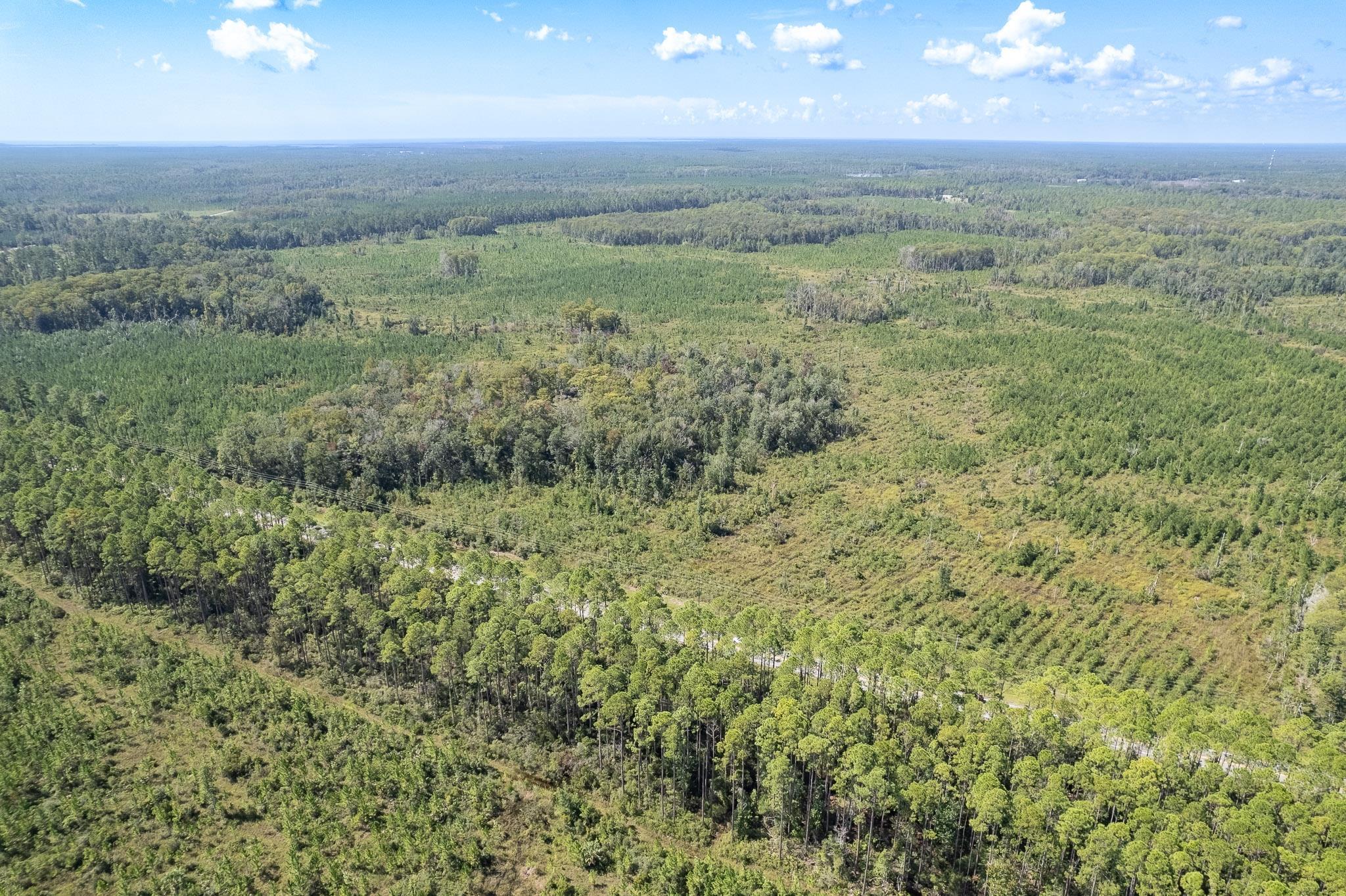 Lot 14 Growing Timbers Road Crawfordville, FL 32327 - Photo 4 of 4