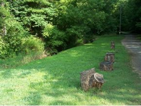 65 North Clinchfield River Road Duffield, VA 24244 - Photo 8 of 10 Photo 8