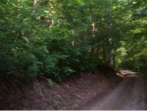 65 North Clinchfield River Road Duffield, VA 24244 - Photo 9 of 10 Photo 9