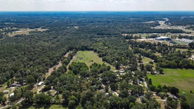 an aerial view of residential houses with outdoor space and trees