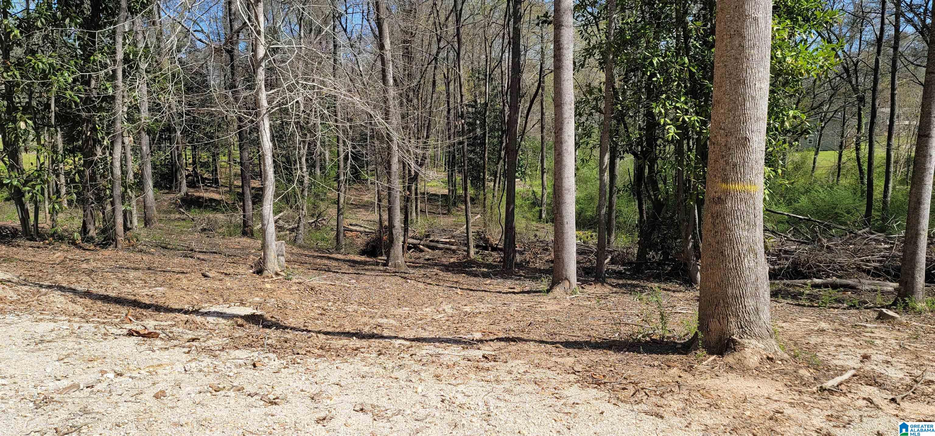 0 Osborne Street, Unit 3 ACRES Heflin, AL 36264 - Photo 10 of 11