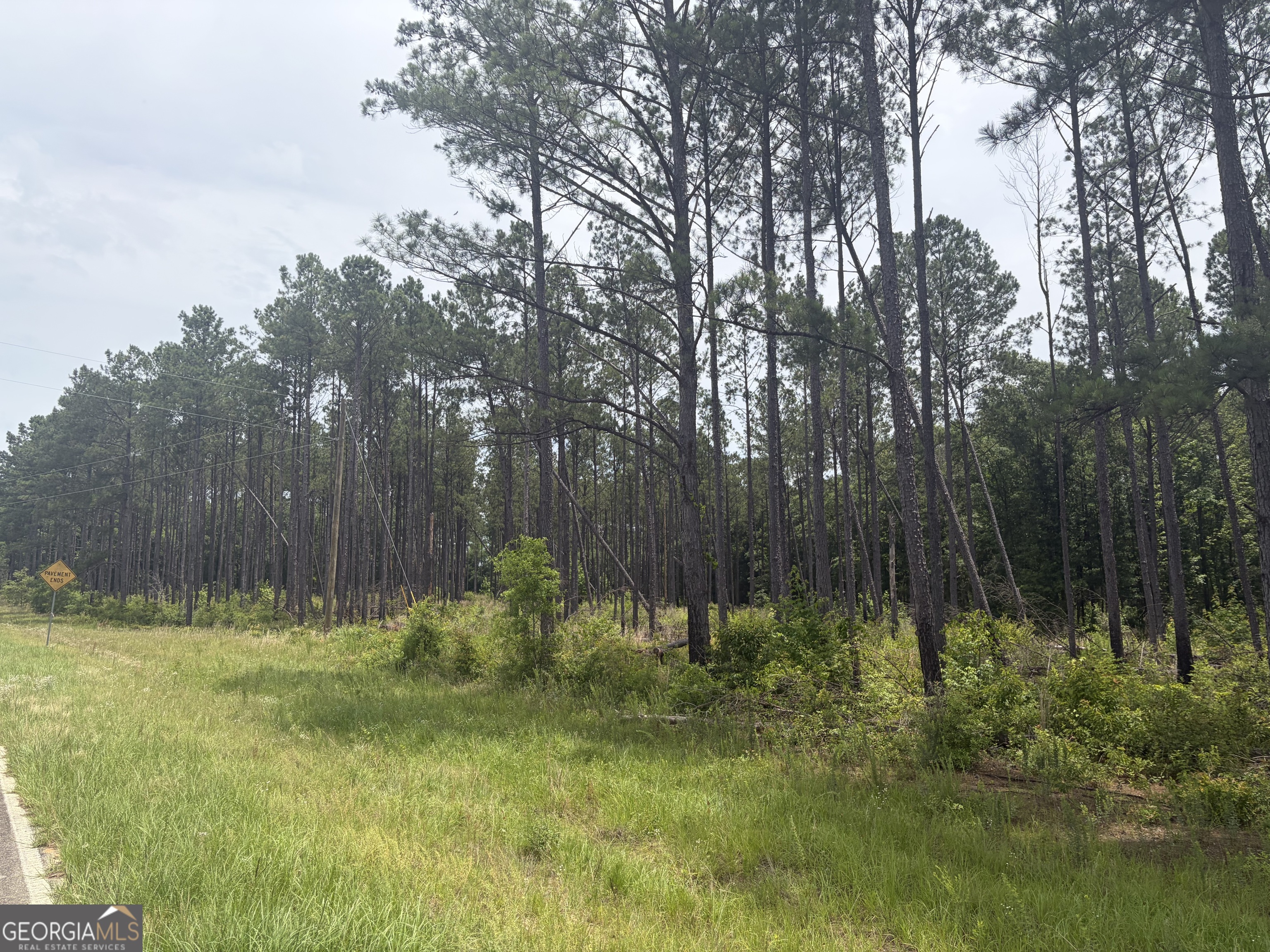 1 Sunhill Grange Road Sandersville, GA 31018 - Photo 2 of 10