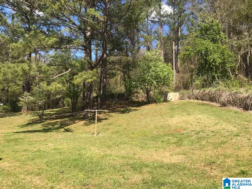 1127 Cedar Springs Road Weaver, AL 36277 - Photo 39 of 48