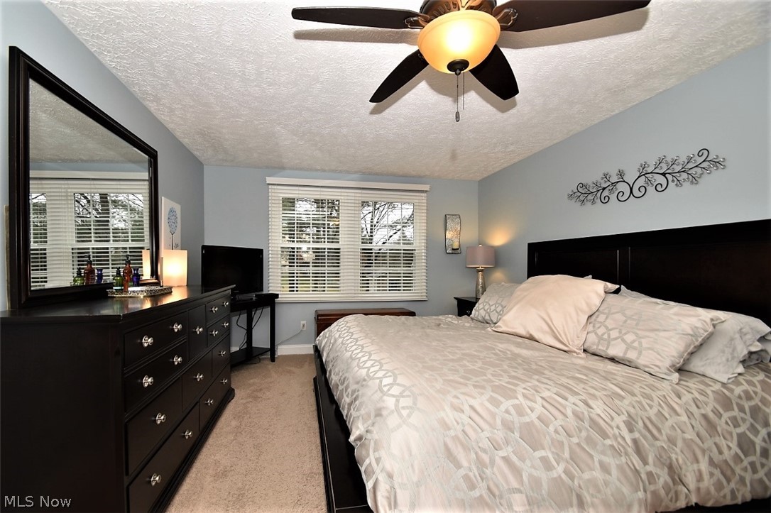 10276 Chipmunk Ridge Drive Mentor, OH 44060 - Photo 11 of 21 Gallery Image 11