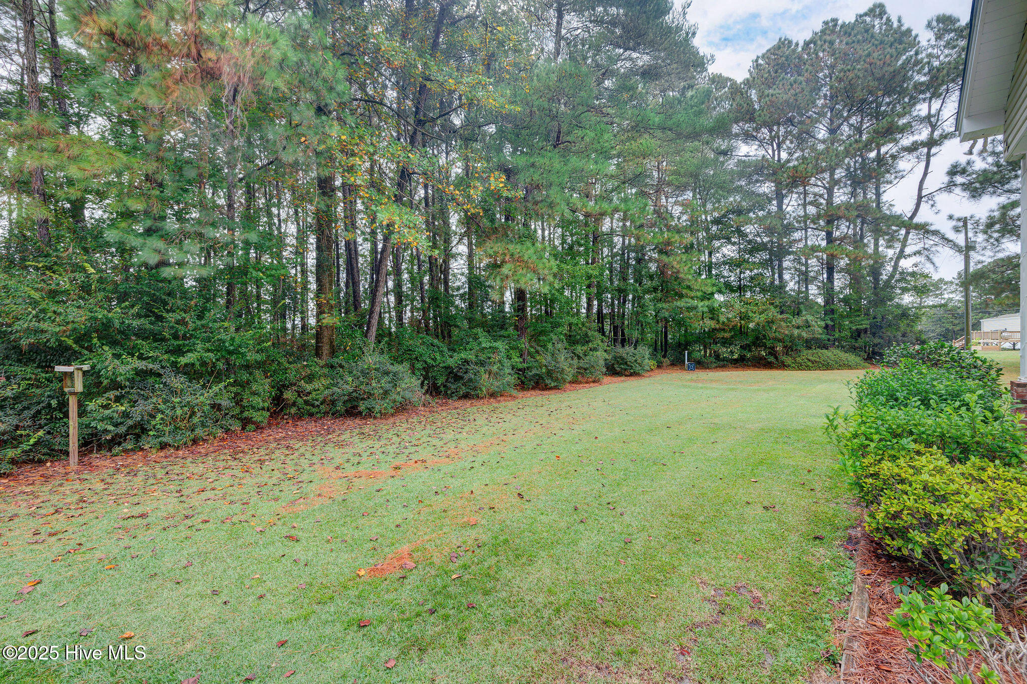 332 Batchelor Bay Road Wallace, NC 28466 - Photo 17 of 58 332BatchelorBayRoad(20)