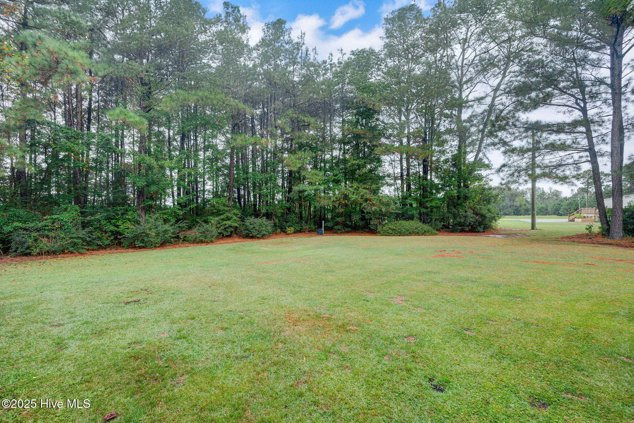 332 Batchelor Bay Road Wallace, NC 28466 - Photo 22 of 58 332BatchelorBayRoad(26)