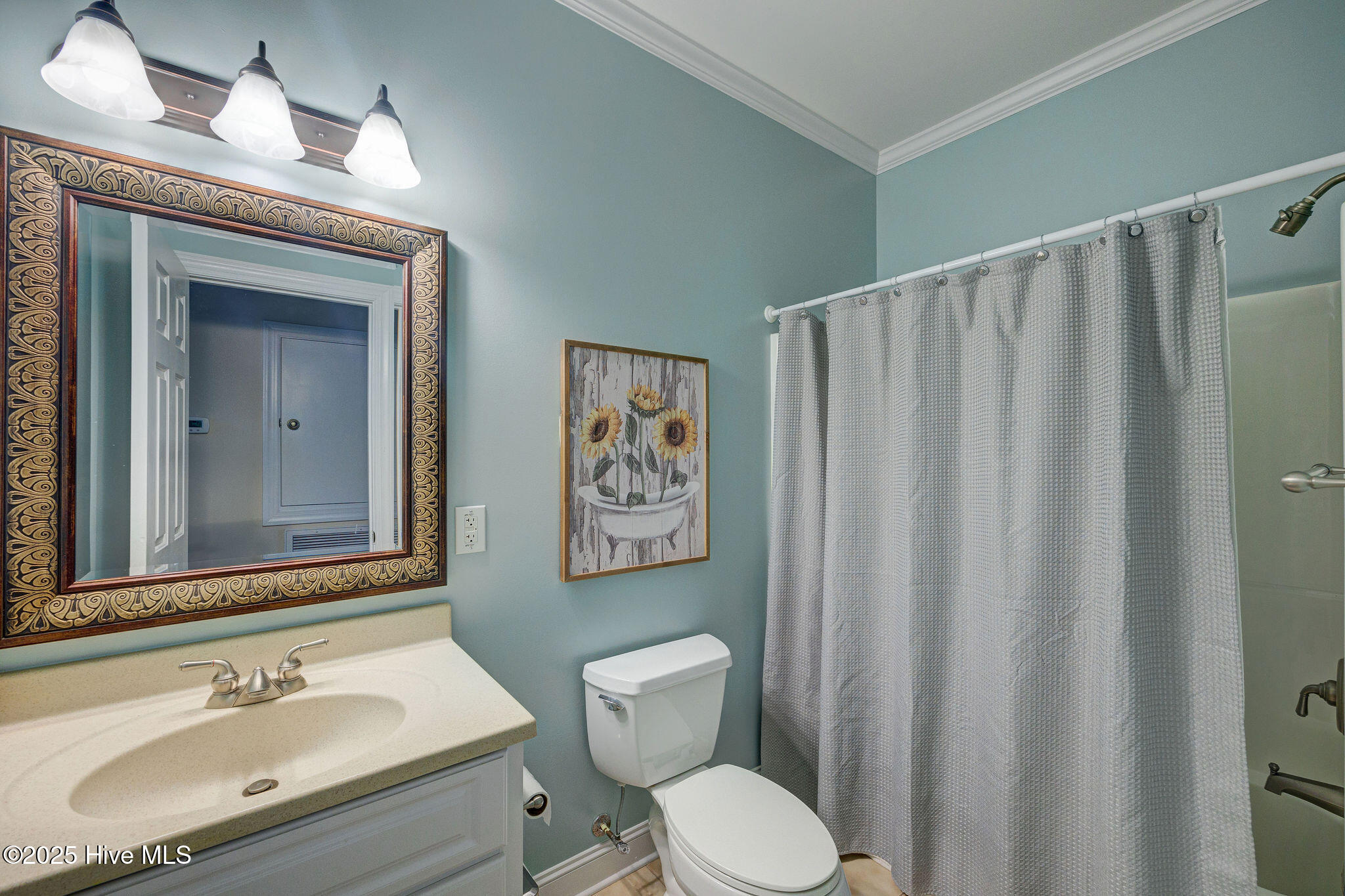 332 Batchelor Bay Road Wallace, NC 28466 - Photo 45 of 58 332BatchelorBayRoad(50)