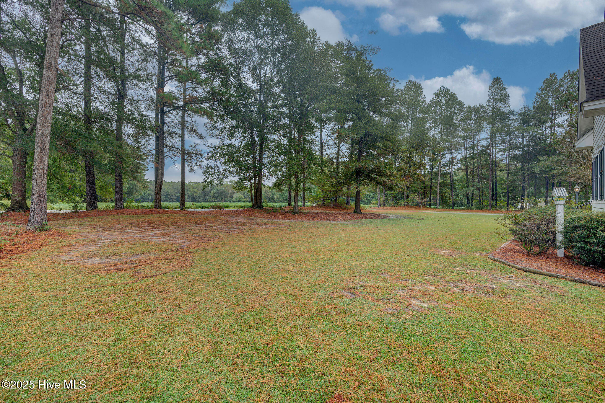 332 Batchelor Bay Road Wallace, NC 28466 - Photo 8 of 58 332BatchelorBayRoad(6)