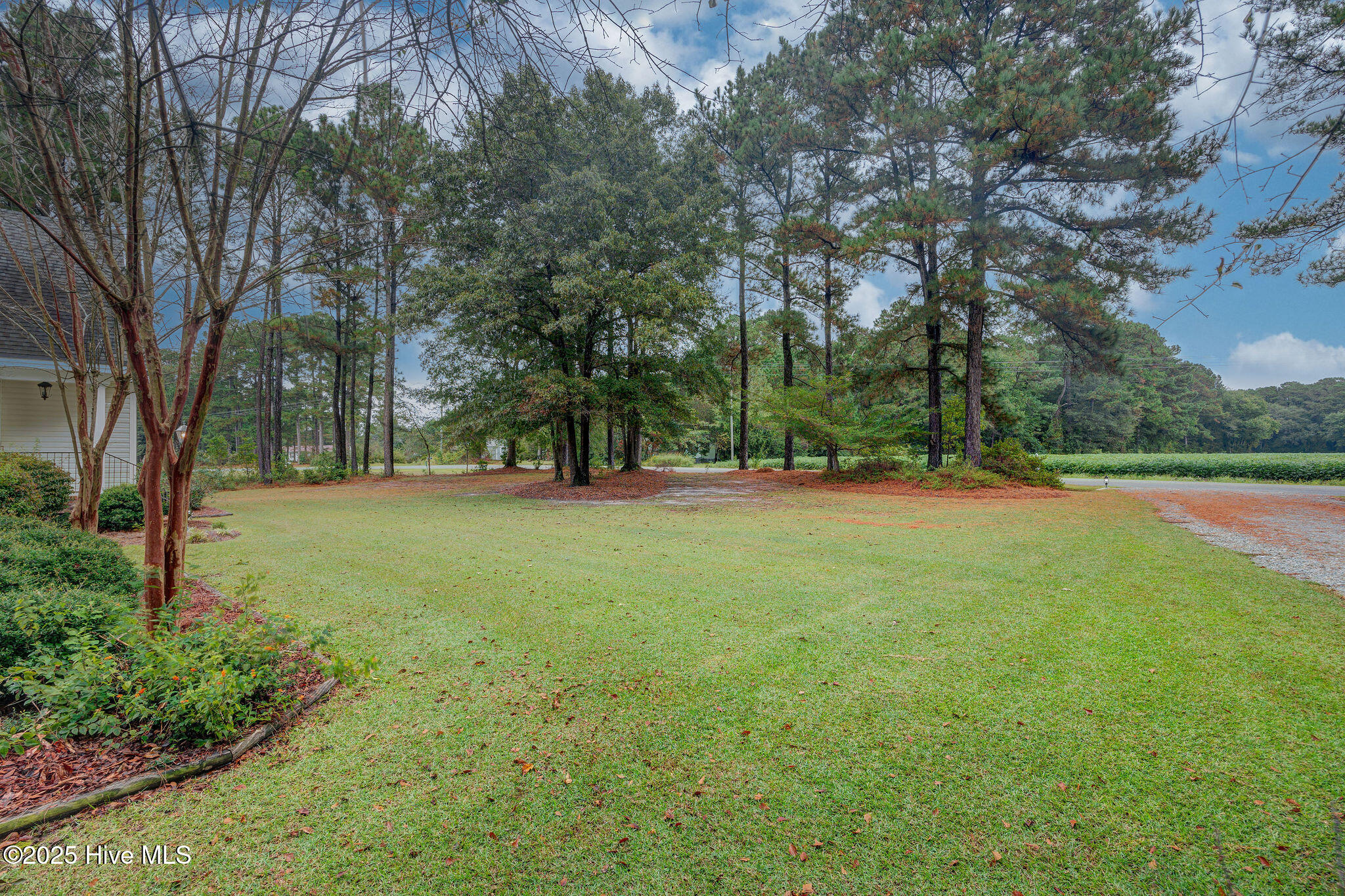 332 Batchelor Bay Road Wallace, NC 28466 - Photo 10 of 58 332BatchelorBayRoad(10)