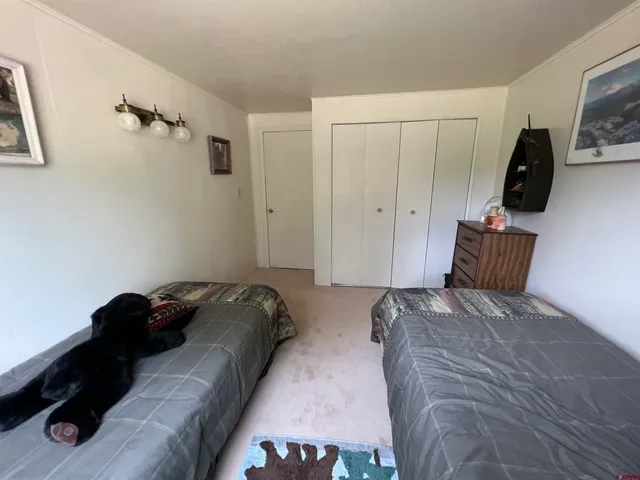 a bedroom with a bed and walk in closet