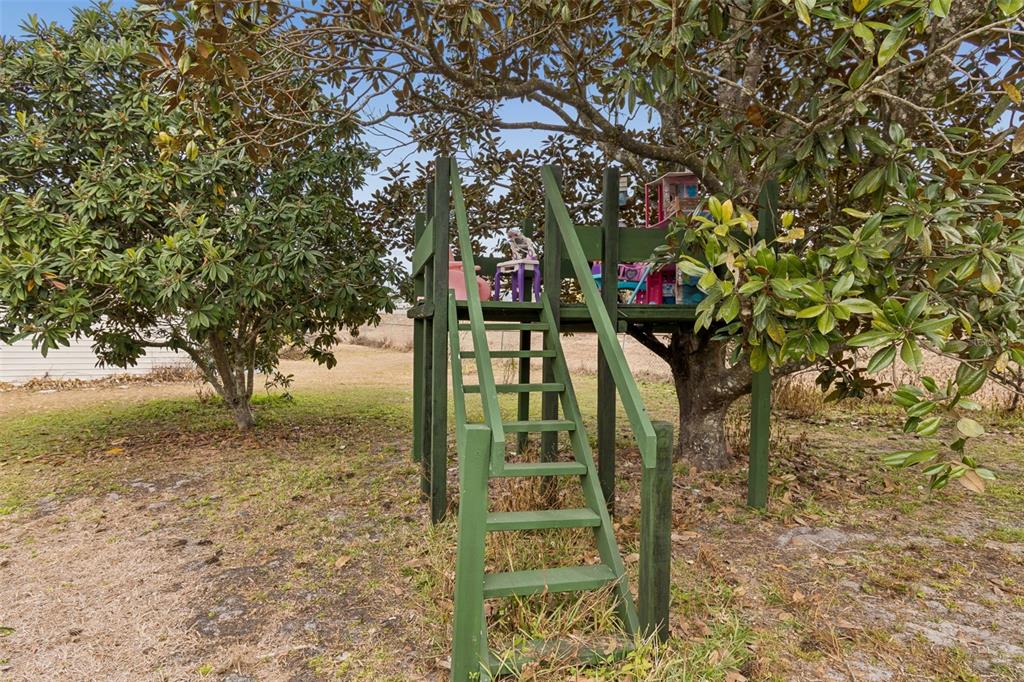 2334 Hiawassee Road Apopka, FL 32703 - Photo 36 of 46