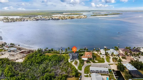 a view of a swimming pool with a garden and plants