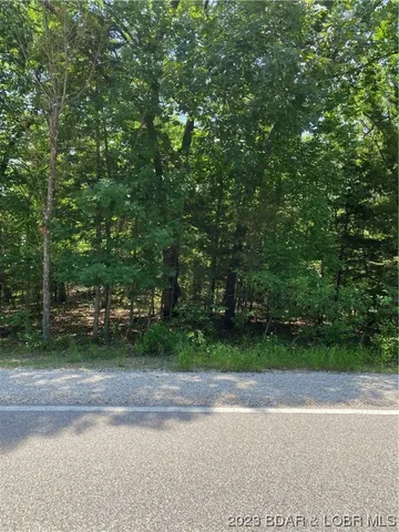 $4,000 | 970 Bobcat Lane, Four Seasons, MO 65049