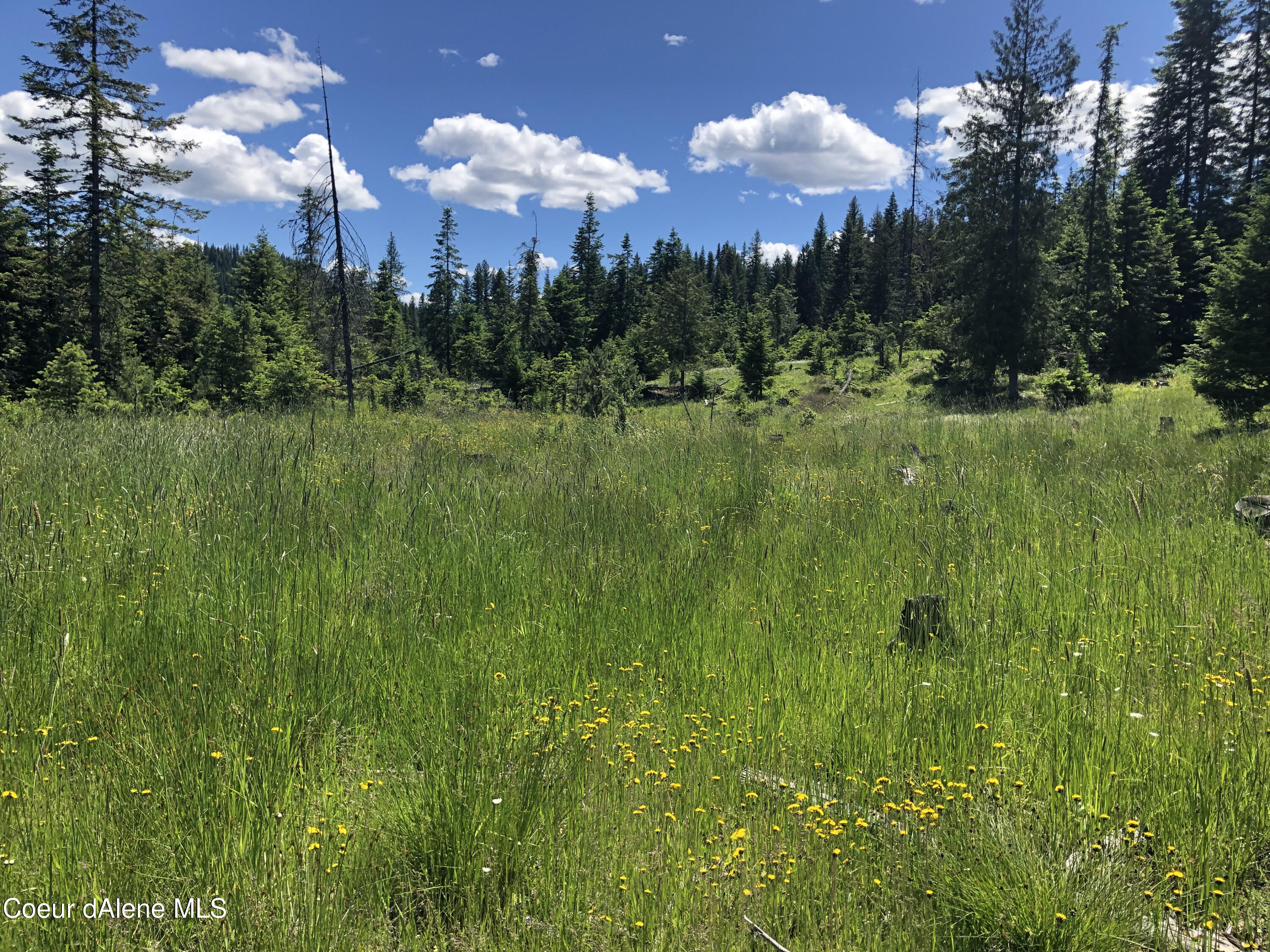 15 Green Valley Road Fernwood, ID 83830 - Photo 1 of 1 IMG_1934
