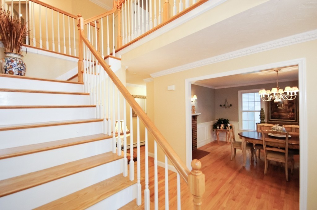 25 Downing Road Lexington, MA 02421 - Photo 3 of 20