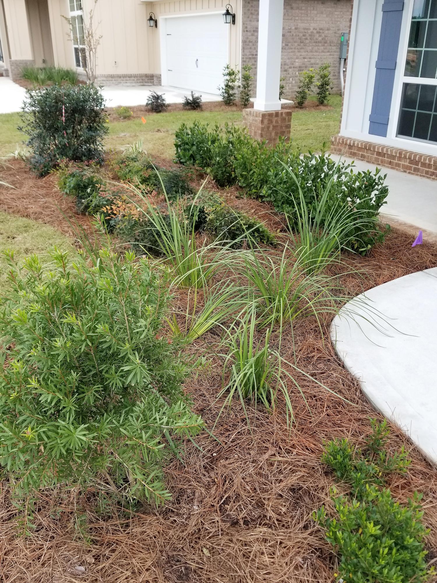 258 Lottie Loop Freeport, FL 32439 - Photo 22 of 49 Gallery Image 22