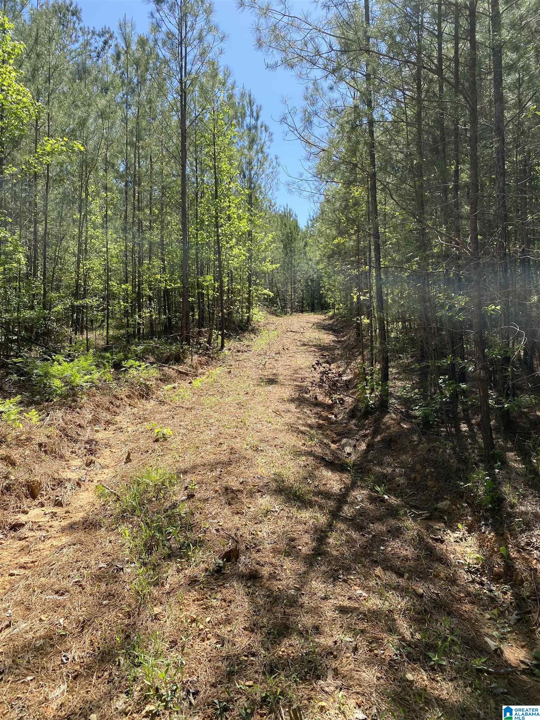 8346 Serene Lake Road McCalla, AL 35111 - Photo 10 of 24