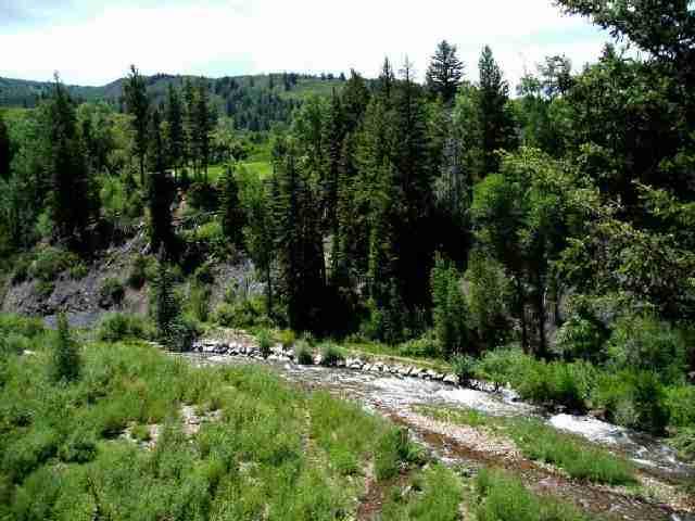 285 Pyramid Road Aspen, CO 81611 - Photo 2 of 2 a view of outdoor space with trees all around
