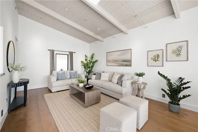 a living room with furniture potted plant and a window