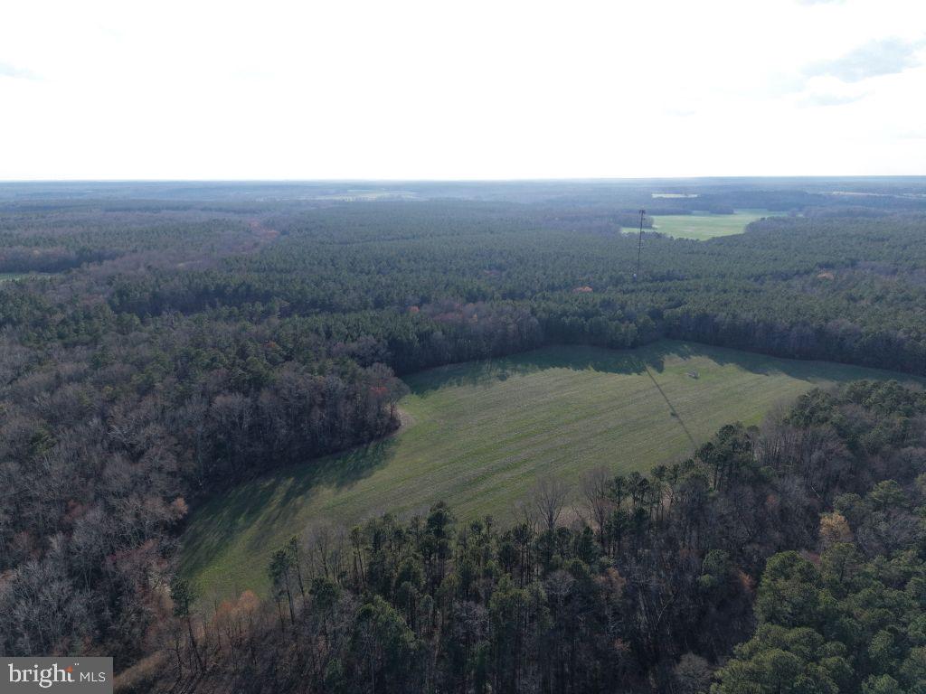 Glebe Landing Road Jamaica, VA 23079 - Photo 11 of 17