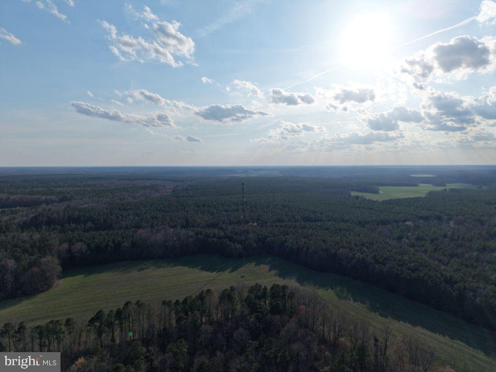 Glebe Landing Road Jamaica, VA 23079 - Photo 12 of 17