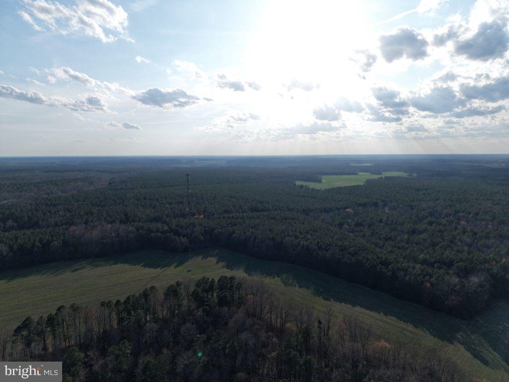 Glebe Landing Road Jamaica, VA 23079 - Photo 13 of 17