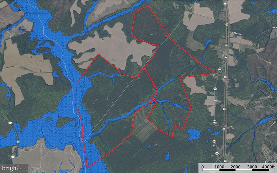 Glebe Landing Road Jamaica, VA 23079 - Photo 17 of 17