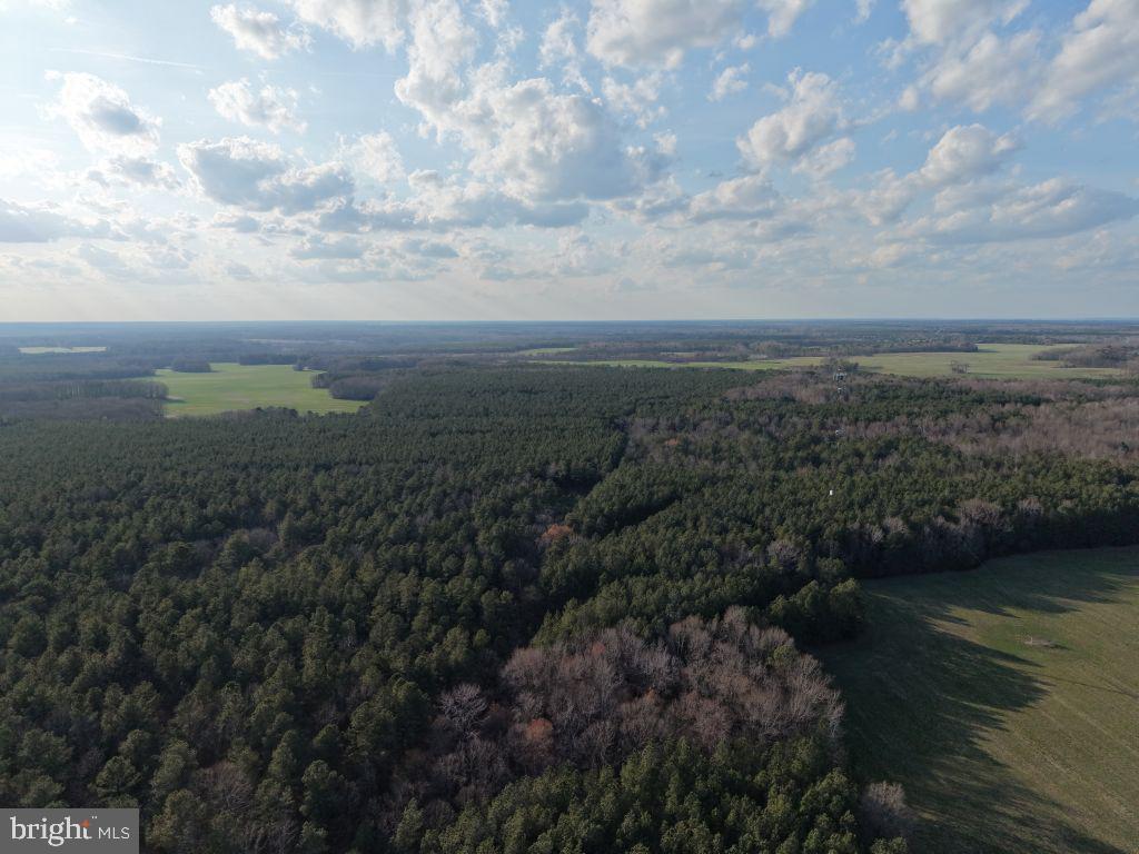 Glebe Landing Road Jamaica, VA 23079 - Photo 2 of 17