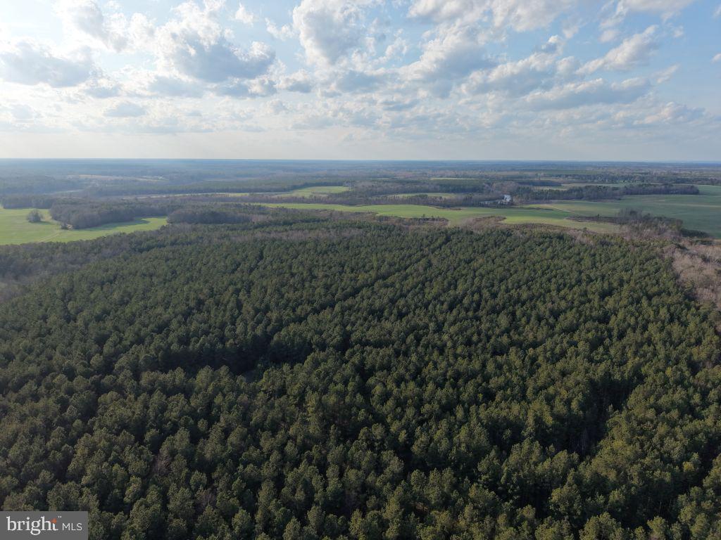 Glebe Landing Road Jamaica, VA 23079 - Photo 3 of 17