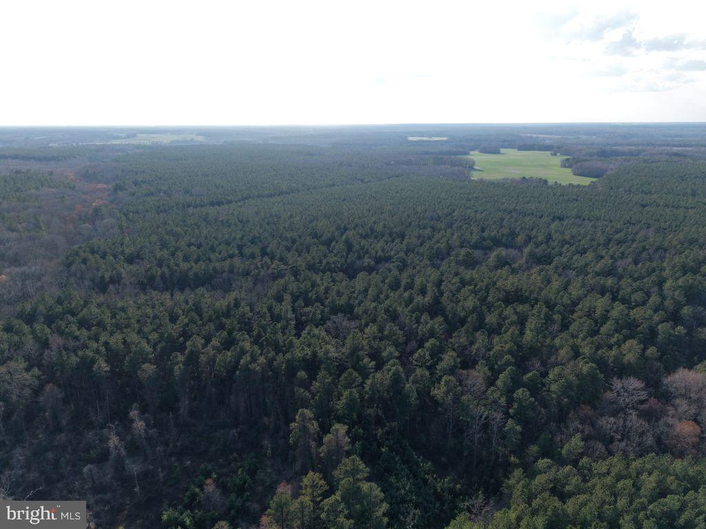 Glebe Landing Road Jamaica, VA 23079 - Photo 4 of 17