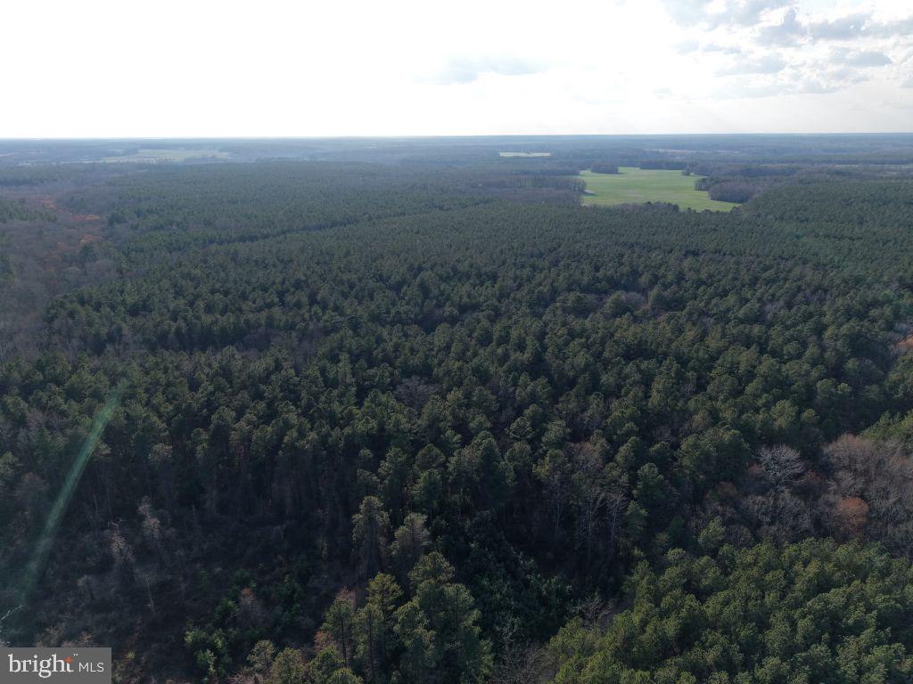 Glebe Landing Road Jamaica, VA 23079 - Photo 5 of 17