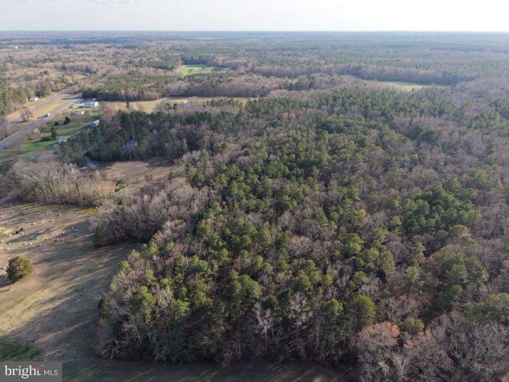 Glebe Landing Road Jamaica, VA 23079 - Photo 6 of 17