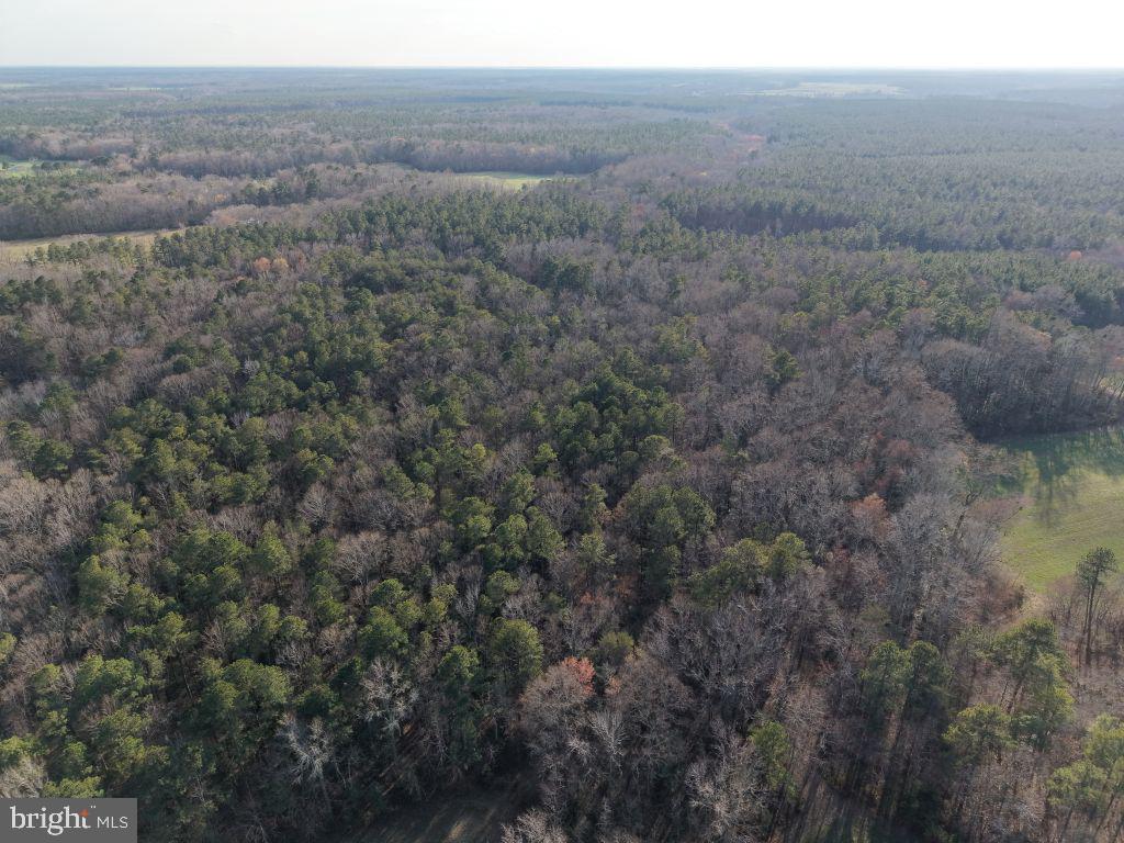 Glebe Landing Road Jamaica, VA 23079 - Photo 7 of 17