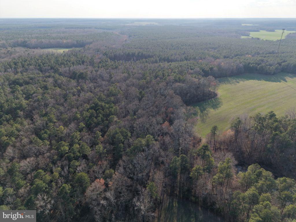 Glebe Landing Road Jamaica, VA 23079 - Photo 8 of 17